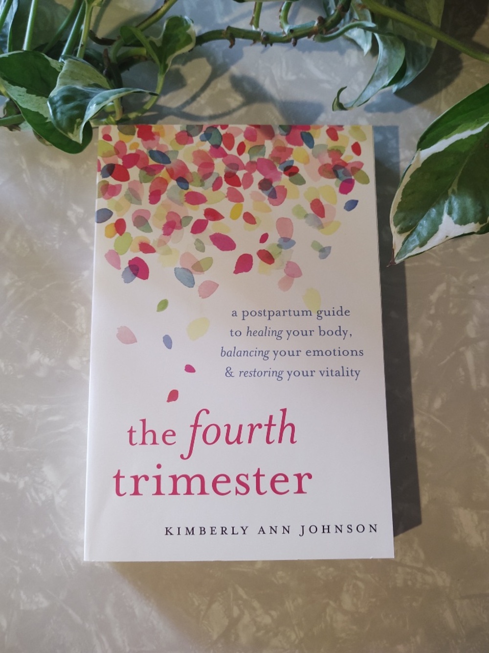 The Fourth Trimester by Kimberly Ann Johnson - paperback, EUC